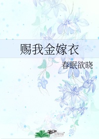 bdsm中国