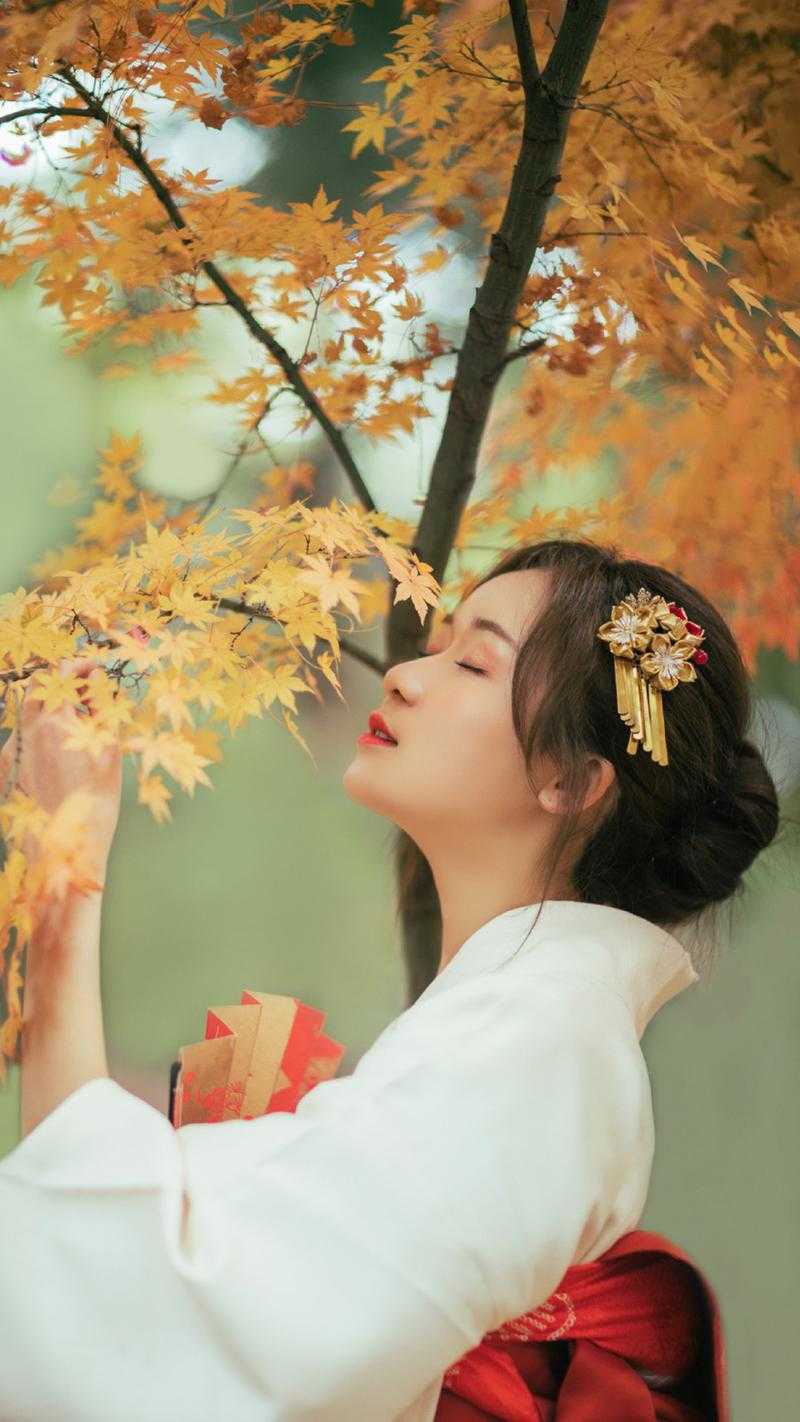 宠妻荣华txt下载