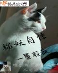 yy9080