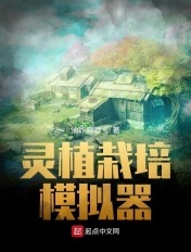 h色视频