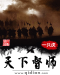 继承人电视剧全集