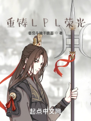 金装的维尔梅第二集