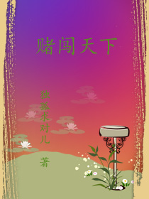 戏说乾隆2