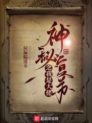 全是车的泡面番