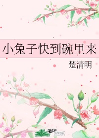 糖心小饼干 全文阅读