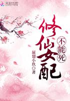 满霪电车调书第一集
