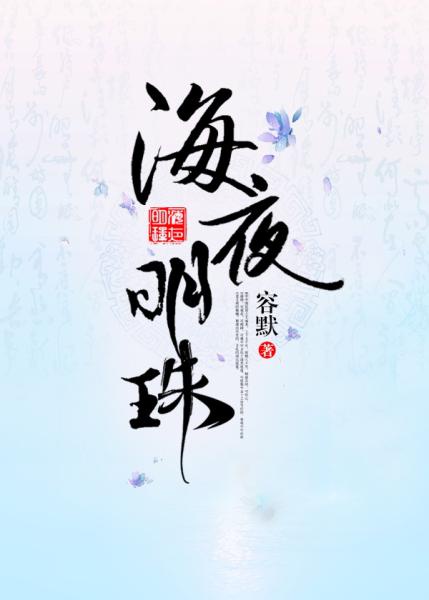 新视觉4080