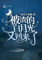 小花螺直播间