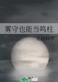 好看的小说言情