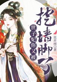 穿越汉子娶个毁容哥儿