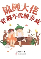 阴兴