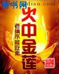 家乱小说