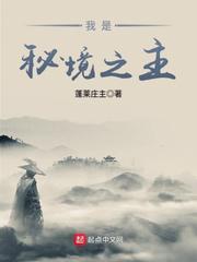 神马理论片