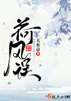 小说王