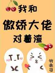 纸婚小说