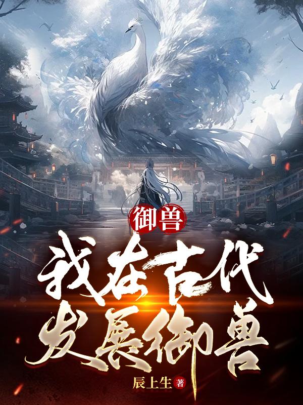 一线高清在线看
