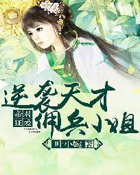 杨宗保征服杨家寡妇们