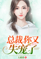 都市美艳后宫未删节