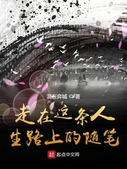 主角是中央军嫡系的小说
