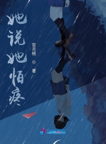 纸钞屋韩版