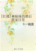 菲特本子