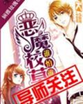 妻子的工作