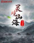 洛薇傅沉渊小说