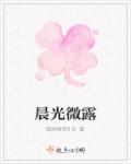 手打电子书