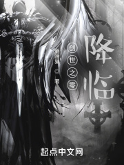 木叶之纳米核心