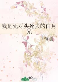 姜可金银花露笔趣阁