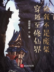 钙片在线观看