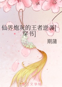 风之使者
