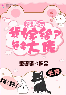 总裁的契约妻