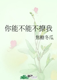 七月七日晴小说郑灵犀