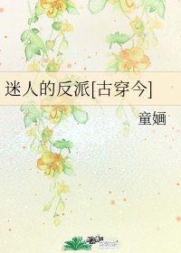 一类生活片光盘