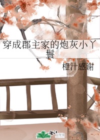 官神txt下载