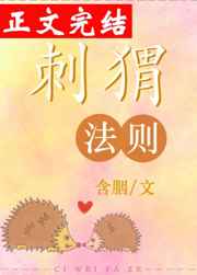 南风慢慢起小说