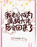 大漠高墙演员表