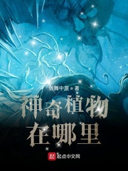 以爱为笼