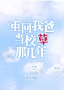 好女当家全文阅读免费