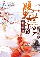 重生雍正风流后宫txt
