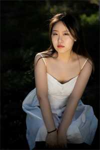 黄漫无翼鸟全彩漫