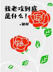 猫咪视频官网线路一