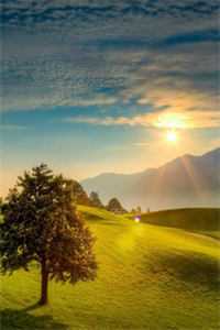 smilence