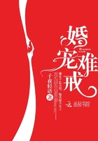 生化危机6在线免费观看