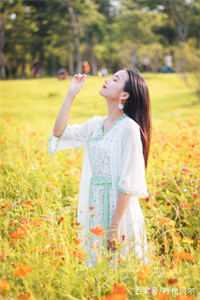 草莓丝瓜秋葵向日葵榴莲苹果大全