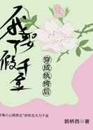 无处容身韩剧电影未删减版