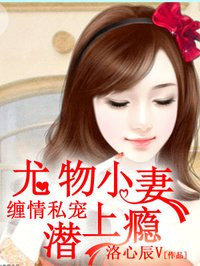 双生子H2v1
