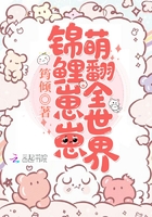 娇艳江湖小说