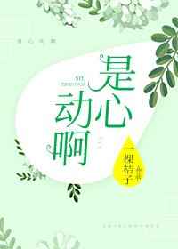 火凤凰电视剧在线全集免费观看